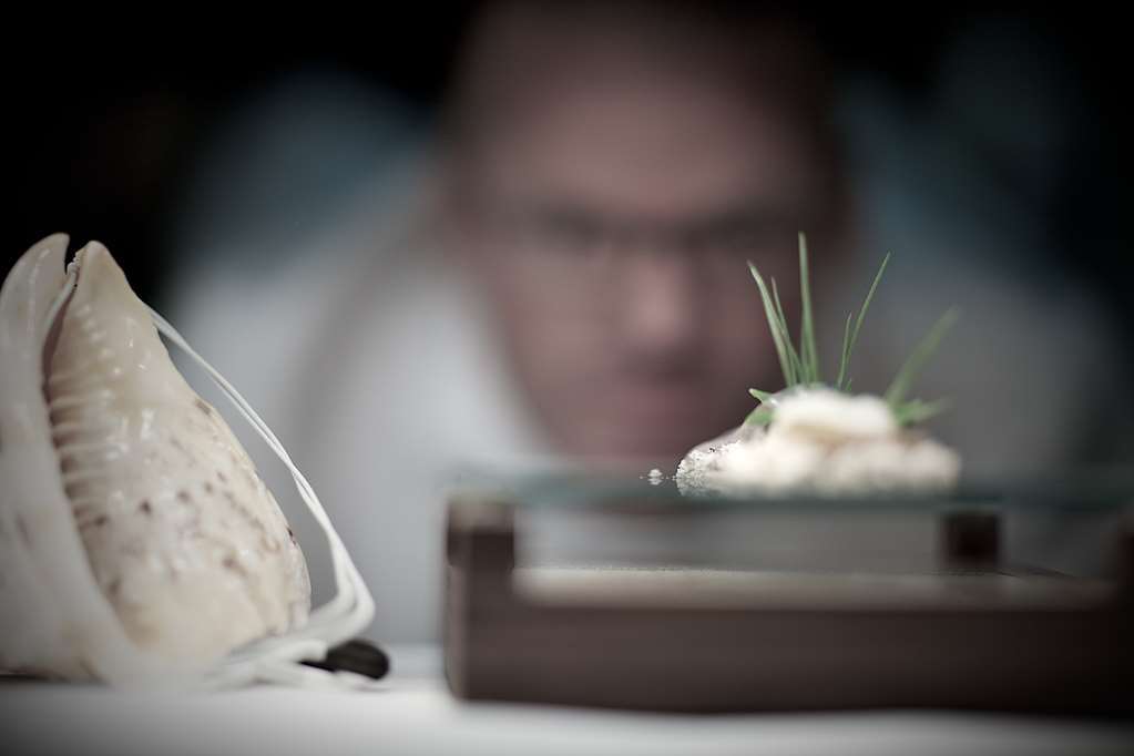 Intercontinental Brisbane By Ihg Restaurant foto A researcher examines a sample of the fungus.